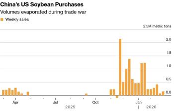 美方着急中国还不买大豆 采购节奏不明增添变数