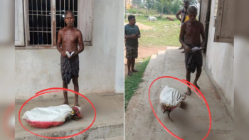 印男子扛姐姐遗骸到银行证明人已死 无奈之举引发关注