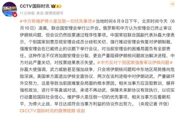 中方对投票结果表示失望 维护停火优先