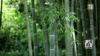 中国用竹子造无人机 科技创新开启新应用