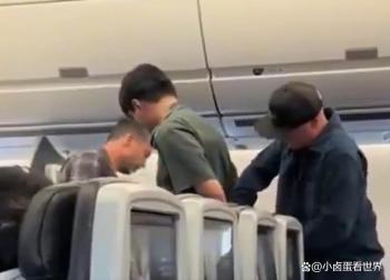飞机上一拳打没全家美国签证 高空暴力代价惨重