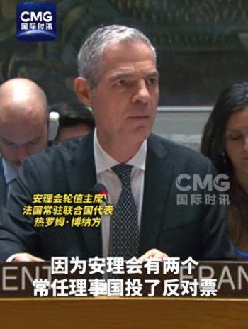 中方在安理会投下反对票 维护伊核协议大局