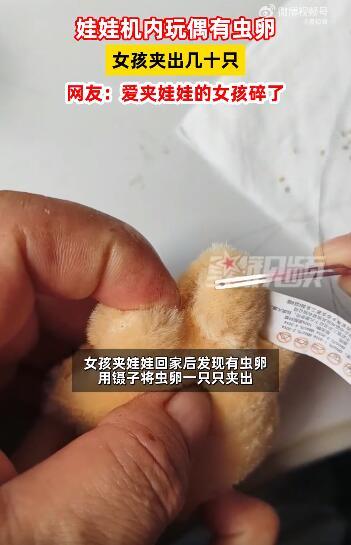 抓娃娃机内玩偶夹出几十只虫卵 卫生安全引担忧