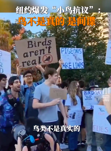 纽约爆发“抗议"宣称鸟类不是真的