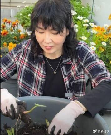 梁朝伟：当评委比捡鸡蛋更需要耐心 明星种地寻平静