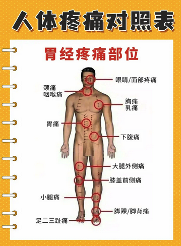 身体各器官疼痛部位对照表