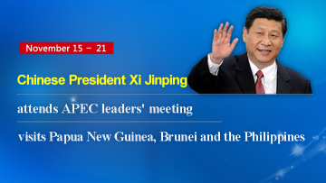 Xi attends APEC leaders' meeting in Papua New Guinea
