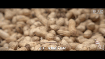 纪录片｜走出黄河滩