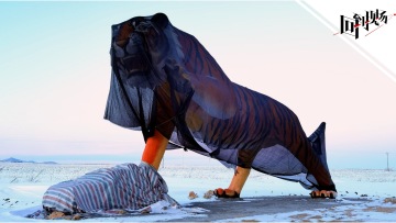 重访东北虎“完达山1号”出没村： 建巨型老虎雕像吸引游客