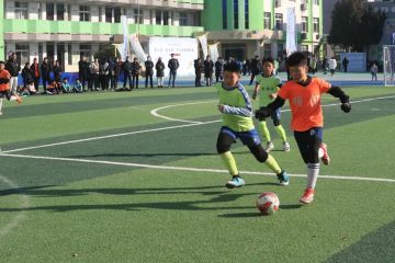 举办青少年联赛，筑牢中国足球塔基 | 新京报快评