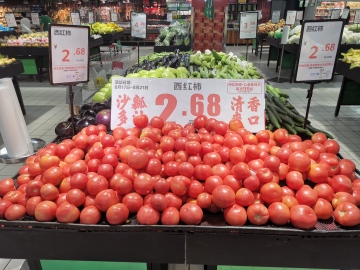 西红柿价格走低农户如何“减损”？看农业专家支招