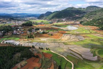 一个国家级杂交水稻制种大县的“种业振兴”之路