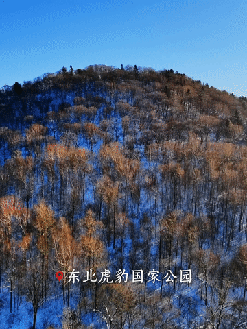 跟著總書(shū)記，從國(guó)家公園看“萬(wàn)物共生”