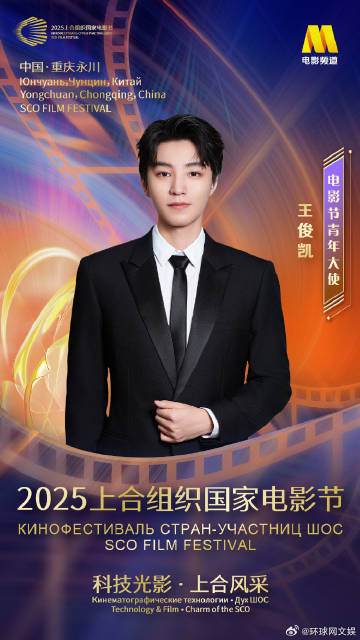 王俊凯任上合组织国家电影节青年大使 王俊凯新生代青年代表影人