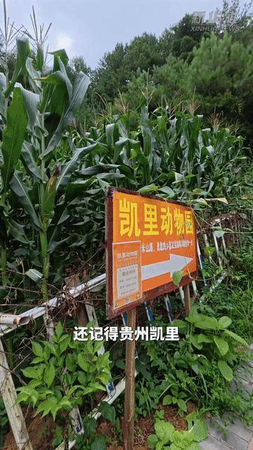 “最寒酸”动物园现在怎么样了