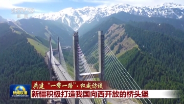 【共建“一带一路”·权威访谈】新疆积极打造我国向西开放的桥头堡