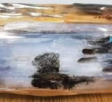 【中华名石典藏】：具有代表性中国名石的科学范式与文化阐释