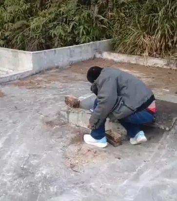 泡了6天才发现：储水池现15头死猪数百户喝池里水！