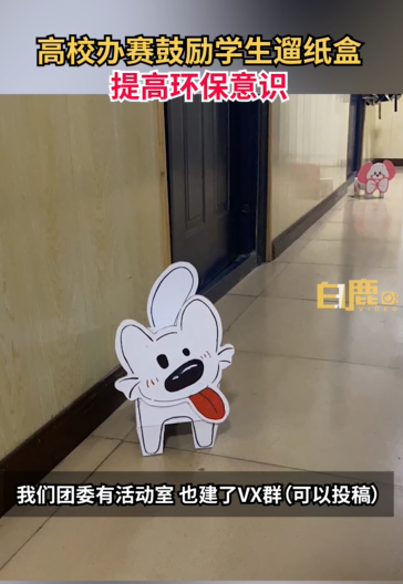 “纸盒狗”风靡中国高校 喜欢的同学：自己快乐最重要