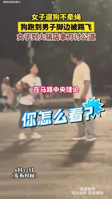 男子踢飞没拴绳狗 女子抡菜刀质问 遛狗不牵绳谁之过？