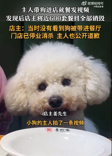 “餐厅干净卫生是最基本的”——商丘一餐饮店主发现有顾客带狗就餐发视频后，自毁近600套餐具并停业消杀，狗主人事后道歉