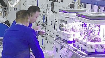 中國人在太空的存糧多得超乎想象 從“存糧”到“產(chǎn)糧”的跨越