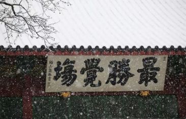 节气丨大雪-阅尽世间繁华，不如踏雪归家