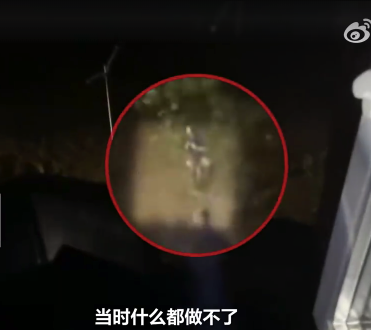男子洪水中爬树呼救求生 救助人：水深两米，树很细真怕断了