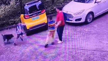 老奶奶拎着书包边赶狗边护着两个娃