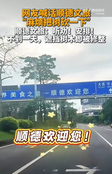 广东顺德文旅听劝修整遮挡招牌树木