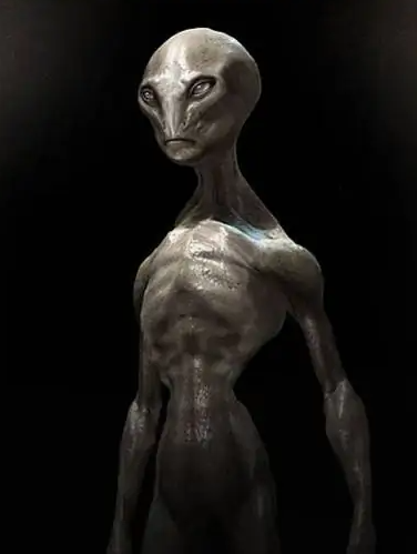 墨西哥展出“外星人尸体” 你相信有外星人吗？