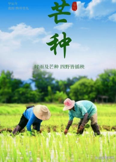 “芒種不過午,，三伏棉衣捂”,，今年芒種在何時(shí)？ 芒種三大特點(diǎn)解析