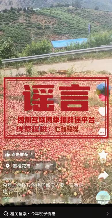 攀枝花桃子3毛1斤烂地里”不实：视频内容与事实不符