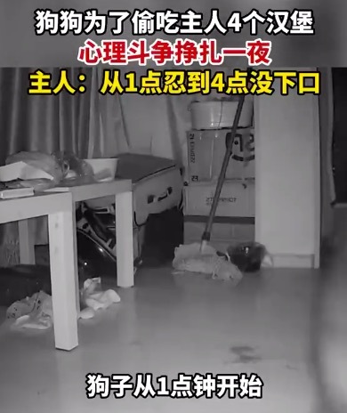 大S方回应将以法律维权