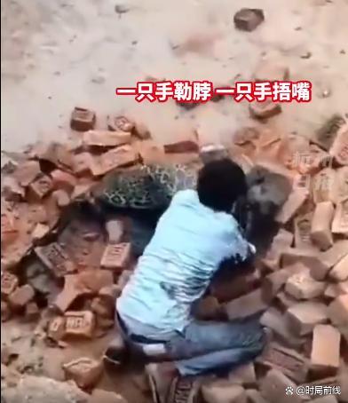 太猛了！印度男子与黑豹近身肉搏 将其按倒捂嘴