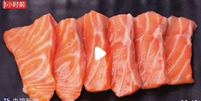 黄土高原的土竟会影响太平洋三文鱼