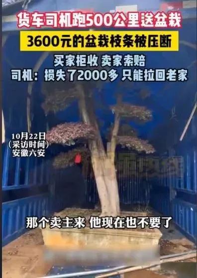 司機跑500公里送盆栽遭拒收索賠 運貨變賠錢窘境