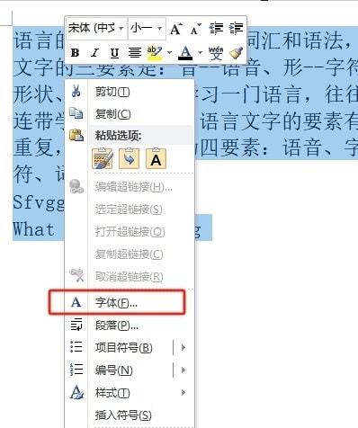 word如何设置汉字和英文为不同字体