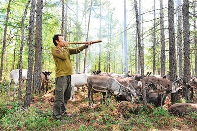 2018年7月，使鹿鄂温克人索宾在用“鹿哨”召唤鹿群。