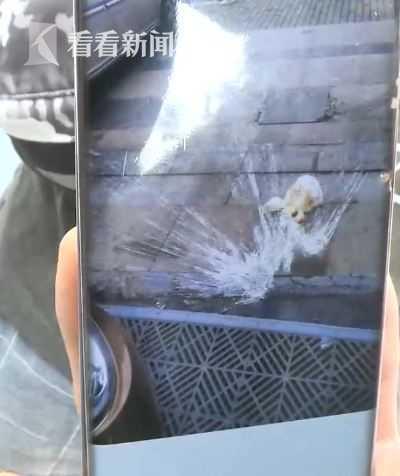 骑手被取消订单当面怒砸外卖 市民：“打工人”都不容易