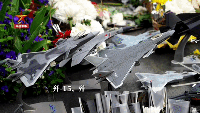 81192，请返航！王伟请放心，我们将替你守护神州大地