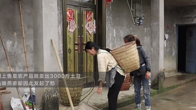 重庆女孩误卖3000斤土豆 村民：不用背菜下山轻松多了