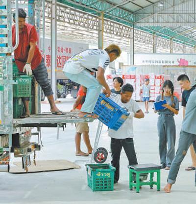 海外种植户抓住中国榴莲需求机遇