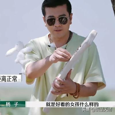 杨子形容黄圣依是整容样板 赞美引发热议