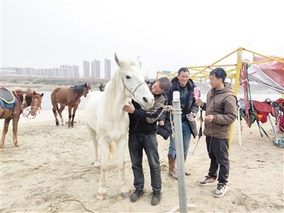 新疆騎馬救人男子帶馬輸液治療 白龍馬成救人英雄