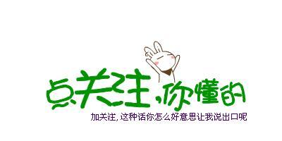 叶童浪姐年度总冠军 实力与争议并存