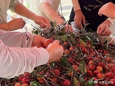 青岛荔枝价格暴跌七成 产量增加致价格跳水