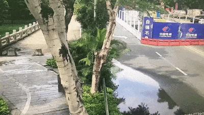 酒后驾驶电动自行车也属于酒驾 警惕不测风险