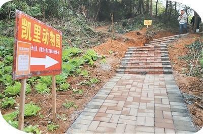 凯里动物园靠什么走红 用心经营赢得游客心