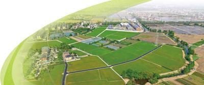 乡村振兴 连点成片 片区协同带动乡村活力